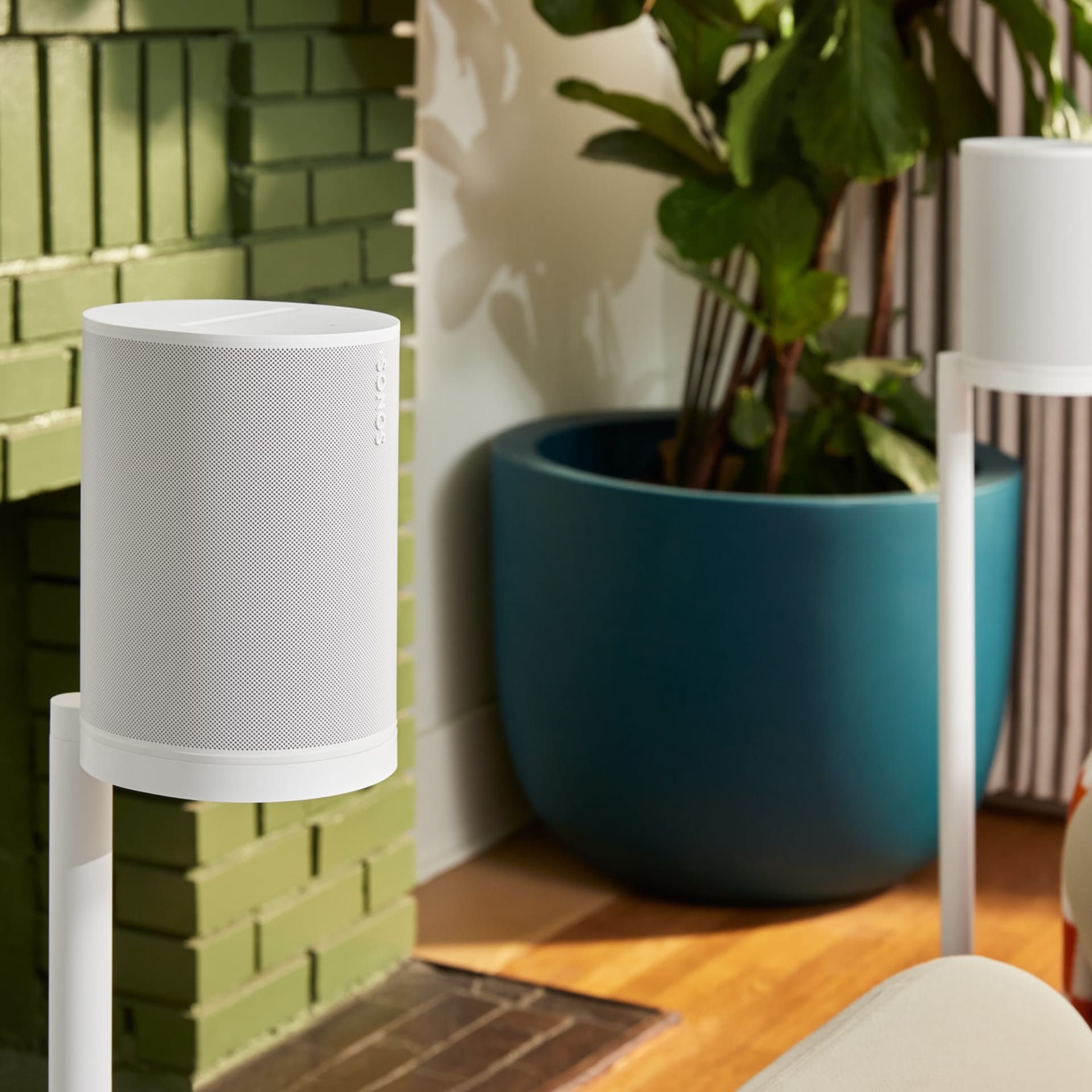 The Sunday Scene - 36