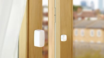 The Sunday Scene - 15